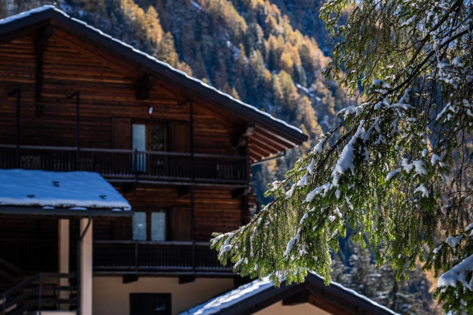 Alpine Forest Hotel Champoluc Kültér fotó